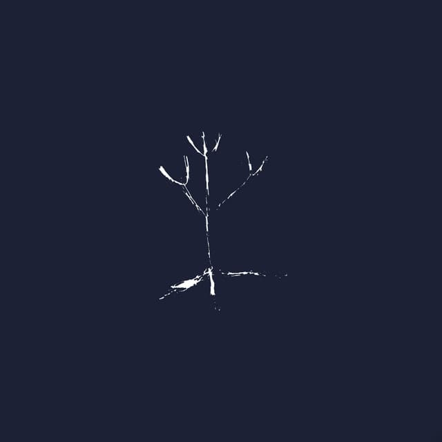 Rowan tree